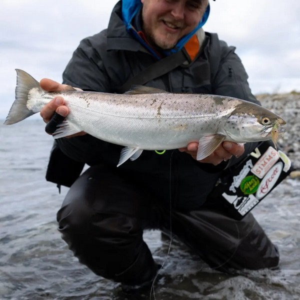 Fang en havørred på kysten
