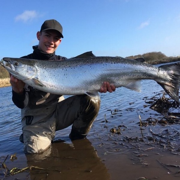 Fang en laks i å og elv