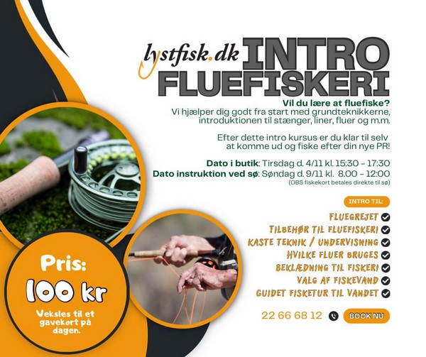 Intro til fluefiskeri