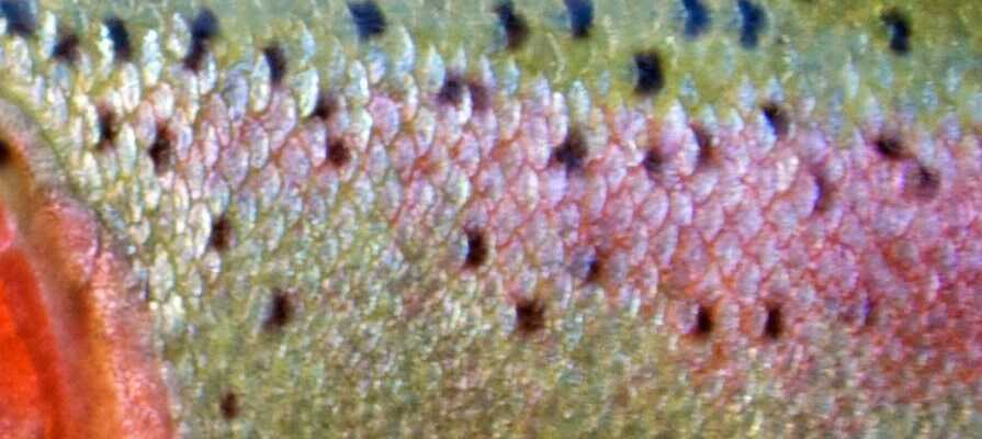 PUT & TAKE PUT & TAKE