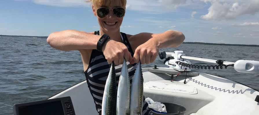 Fang en makrel Fang en makrel