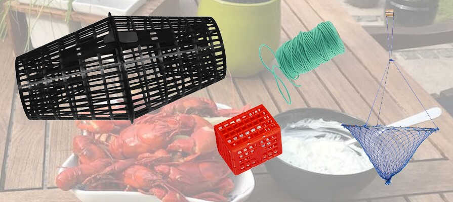 SIGNALKREBS SIGNALKREBS