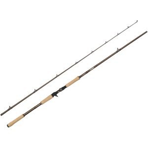 Abu Garcia Beast Pro2 Casting Rod