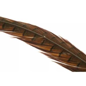 FlyCo Ringneck Pheasant Tail Feathers 1 Pair