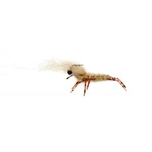 Fulling Mill Honey Shrimp 6