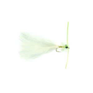 Fulling Mill Kick Ass Cat 10