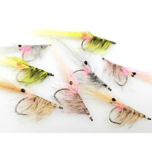 FutureFly Nutria Shrimp