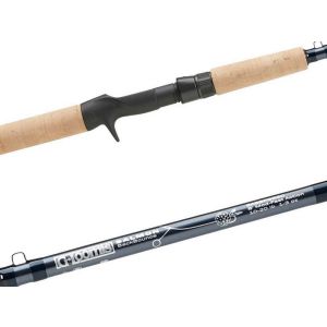 G. Loomis Salmon Series - spinnestang