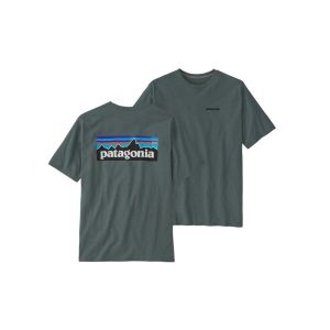 Patagonia P-6 Logo Responsibili-Tee-Nouveau Green (NUVG)