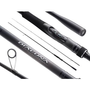 Shimano Dialuna Inshore