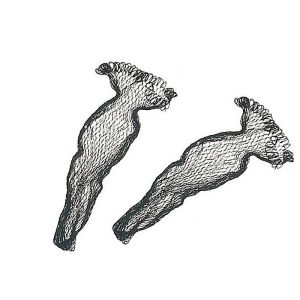 Snowbee Knotless Mesh Net