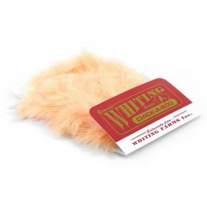 Whiting Chickabou Patch