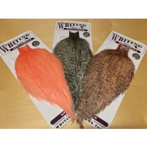 Whiting Spey Rooster