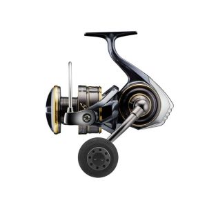Daiwa 22 Caldia SW front