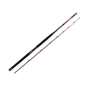 Daiwa Seahunter Spin