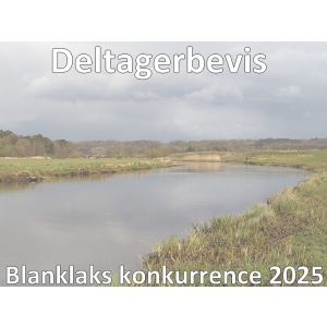 Deltagerbevis 2025