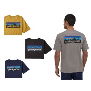 Patagonia P6 Logo Organic T-shirt hovedbillede