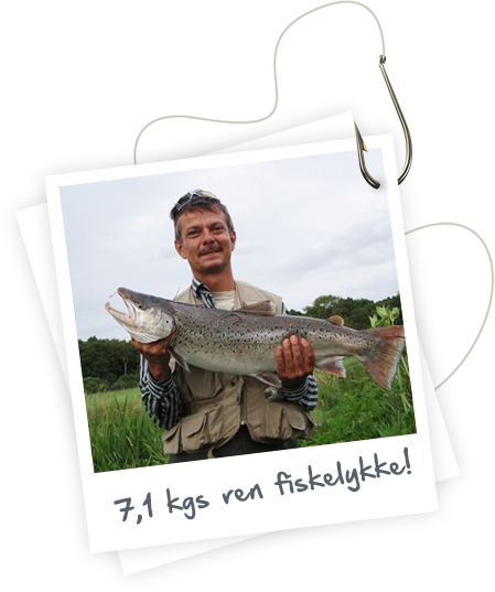 Om lystfisk.dk 